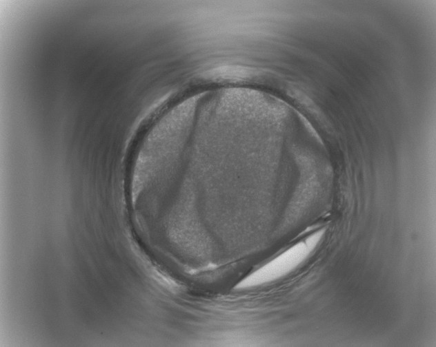 X0000065980399200603311910