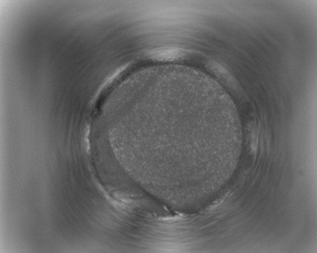 X0000065980400200603311910