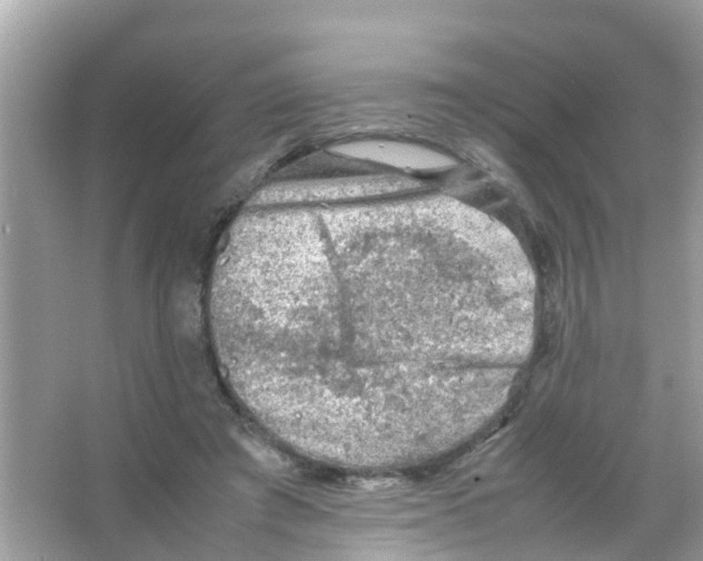 X0000065980401200603311910