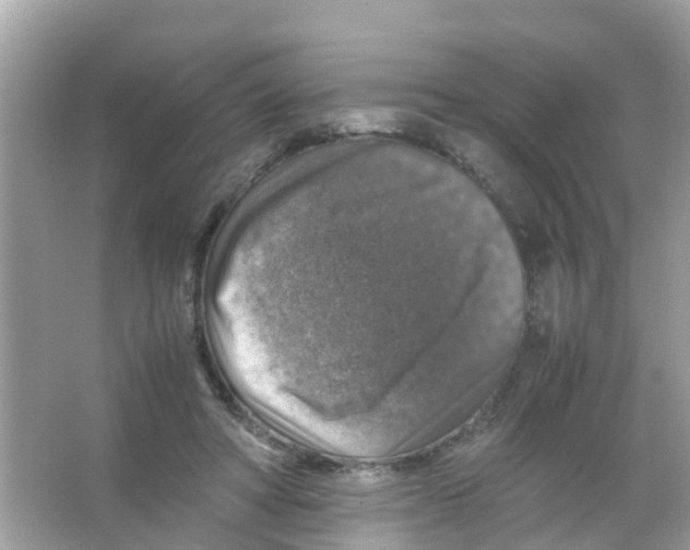 X0000065980402200603311910