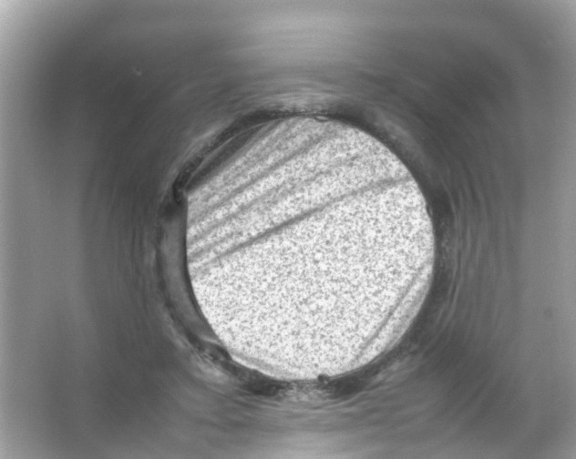 X0000065980403200603311910