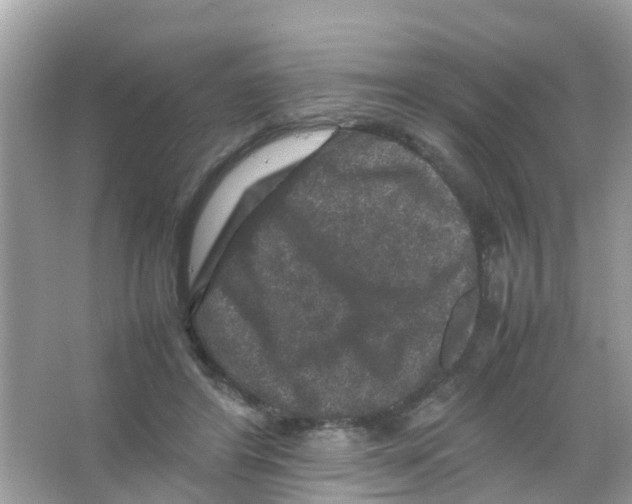 X0000065980404200603311910