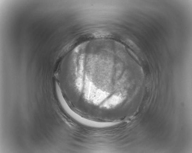 X0000065980405200603311910