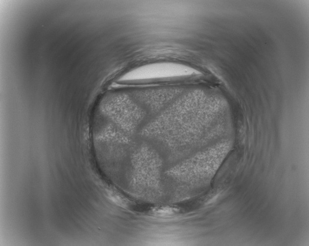 X0000065980407200603311910