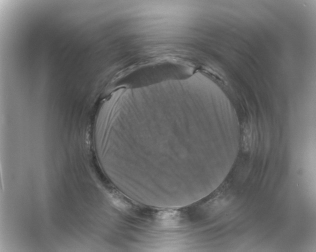 X0000065980410200603311910