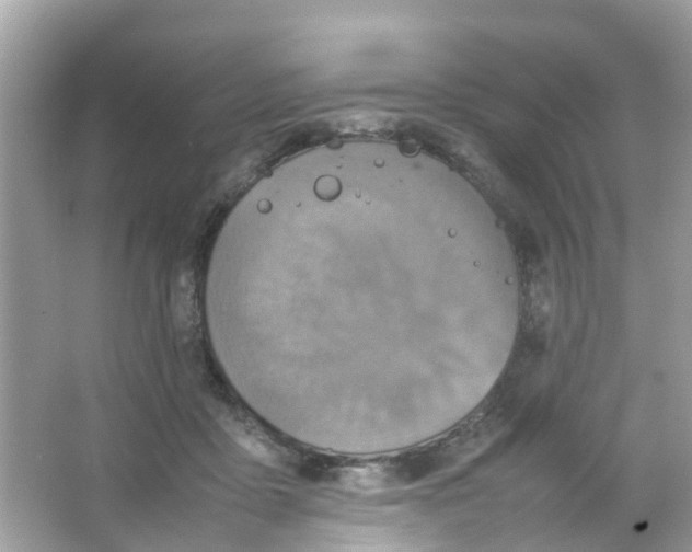 X0000065980411200603311910