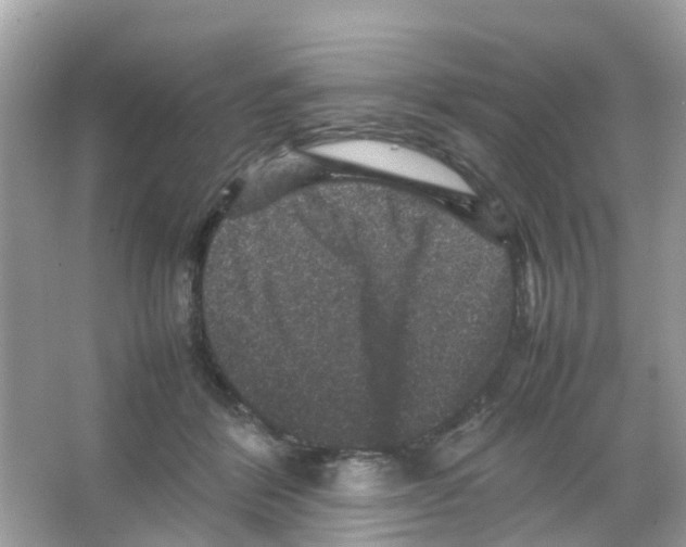 X0000065980412200603311910