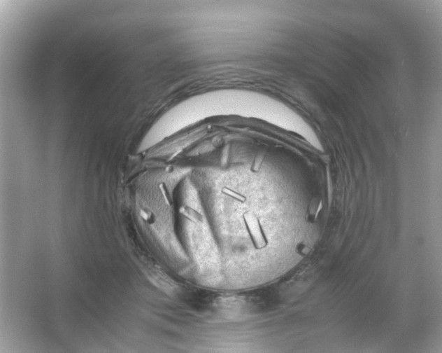 X0000065980413200603311910