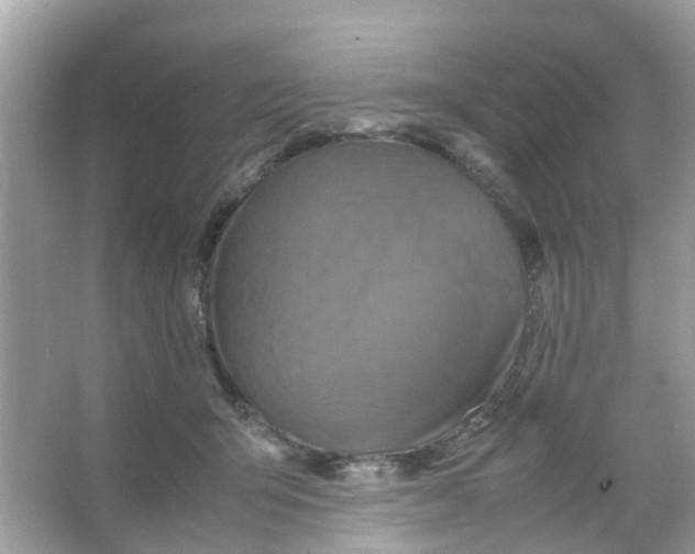 X0000065980415200603311910