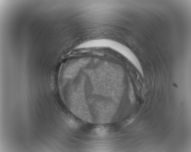 X0000065980416200603311910