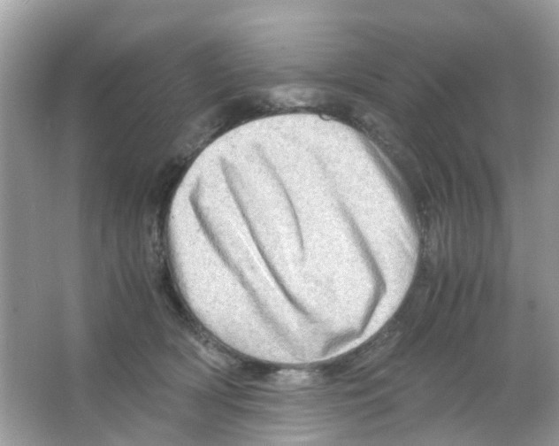 X0000065980418200603311910