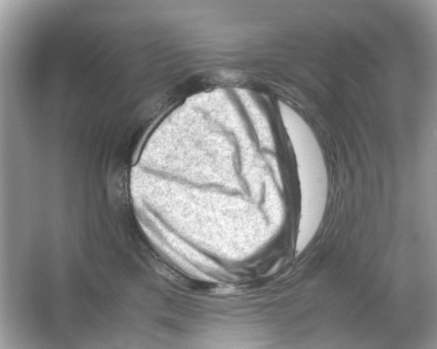 X0000065980425200603311910