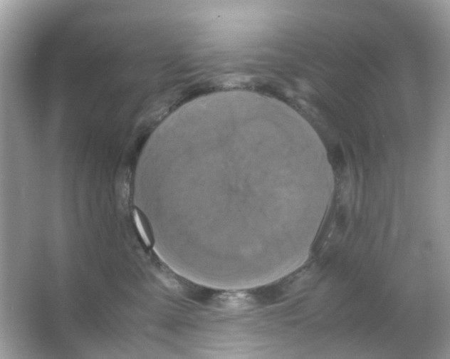 X0000065980427200603311909