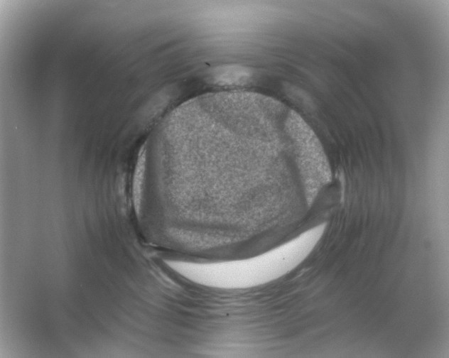 X0000065980428200603311909