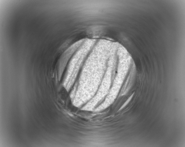 X0000065980429200603311909