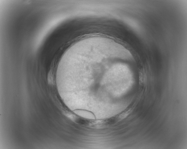 X0000065980431200603311909