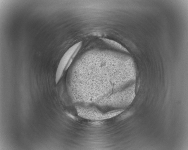 X0000065980432200603311909