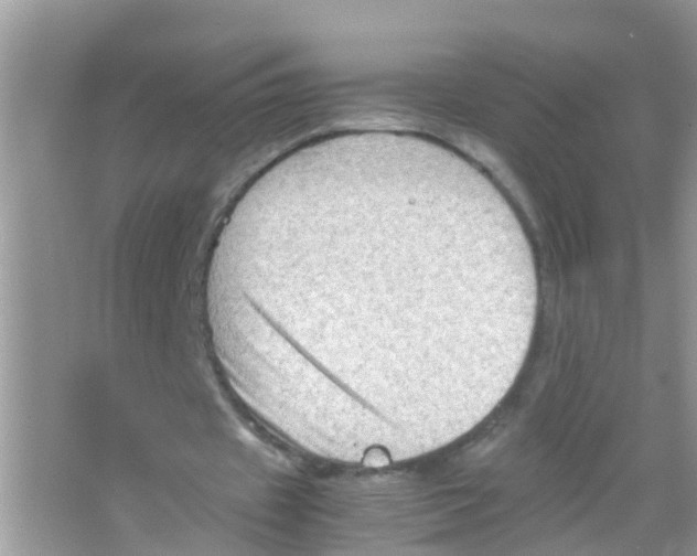 X0000065980433200603311909