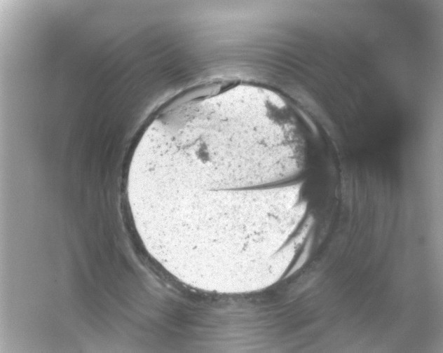 X0000065980434200603311909