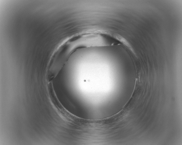 X0000065980436200603311909