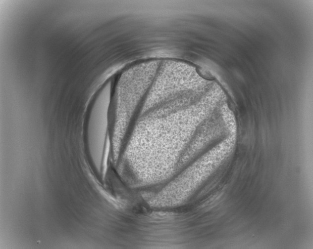 X0000065980437200603311909