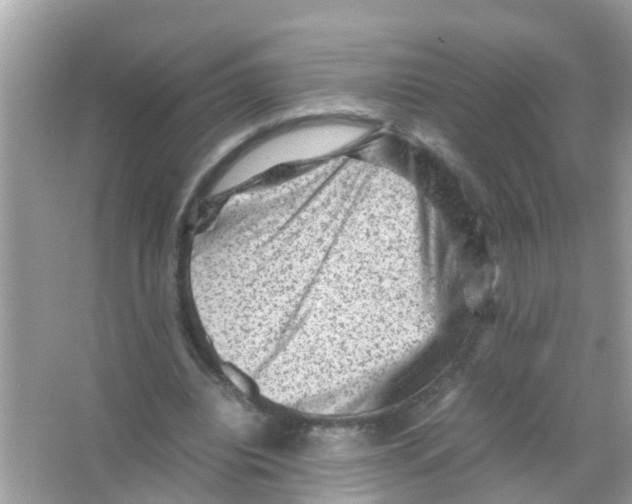 X0000065980440200603311909