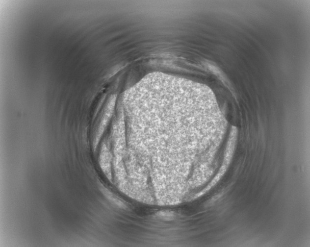 X0000065980441200603311909