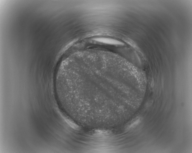 X0000065980442200603311909