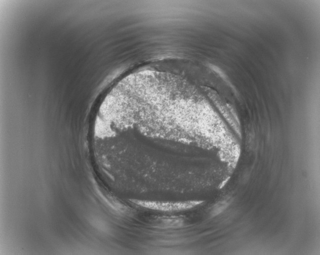 X0000065980443200603311909