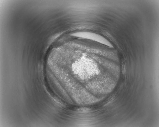 X0000065980444200603311909