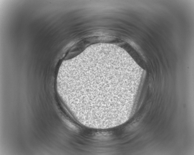 X0000065980445200603311909