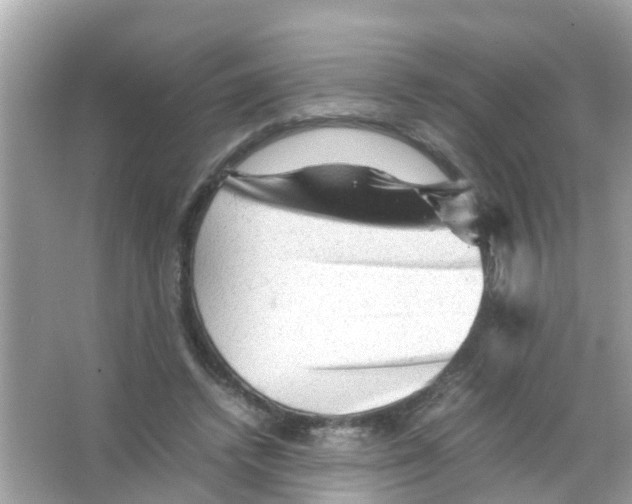 X0000065980448200603311909