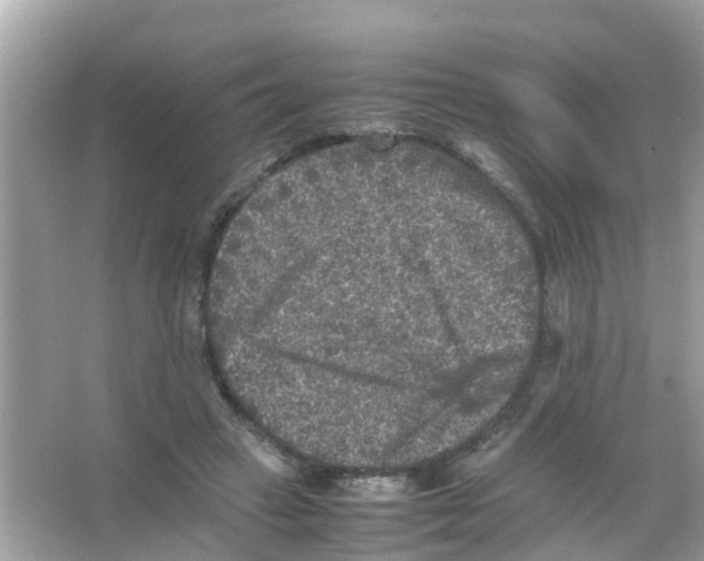 X0000065980449200603311909