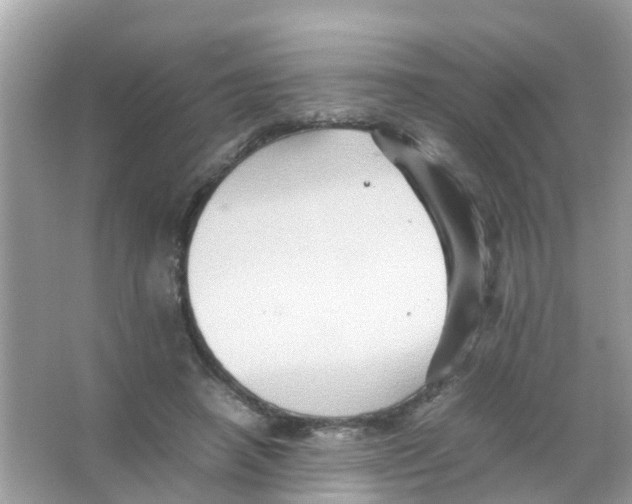 X0000065980450200603311909