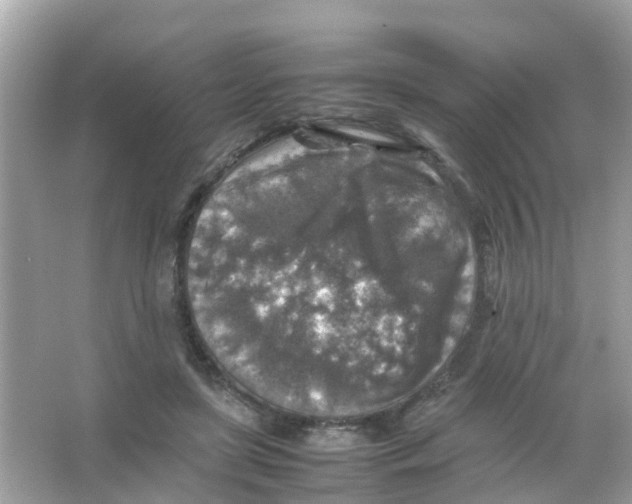 X0000065980451200603311909