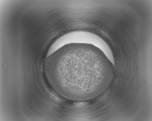 X0000065980452200603311909