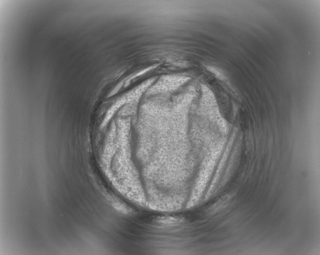 X0000065980453200603311909