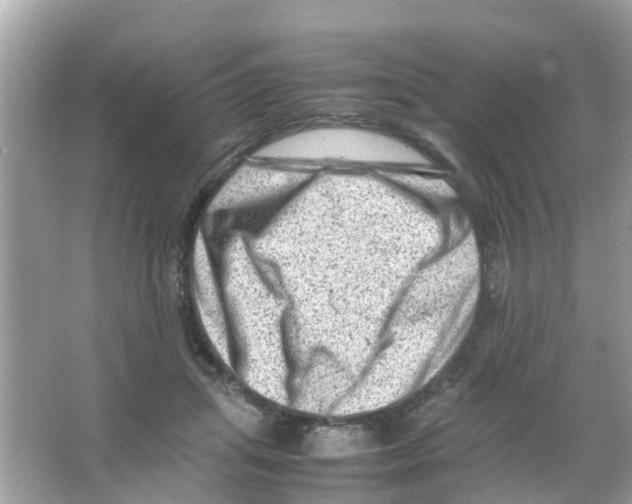 X0000065980455200603311909