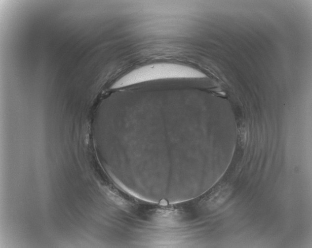 X0000065980458200603311909