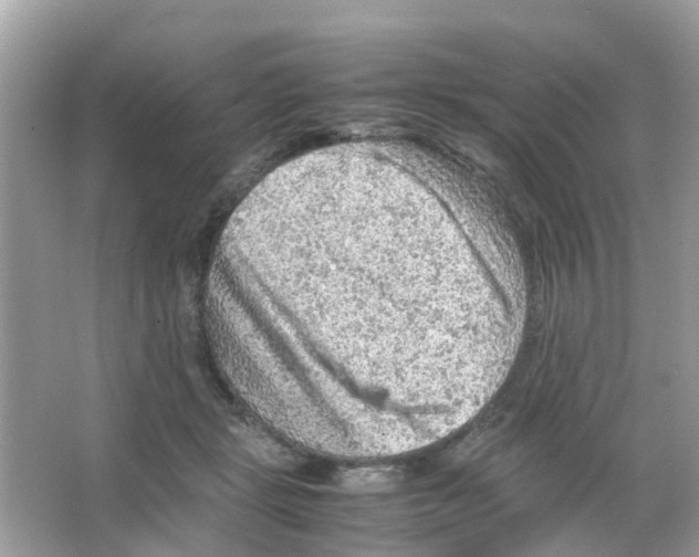 X0000065980461200603311909