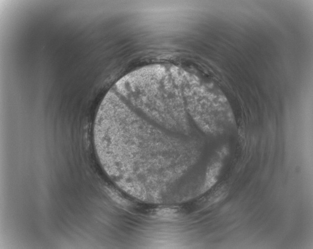 X0000065980462200603311909