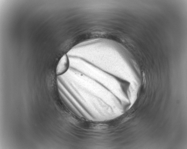 X0000065980463200603311909