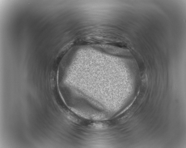 X0000065980464200603311909