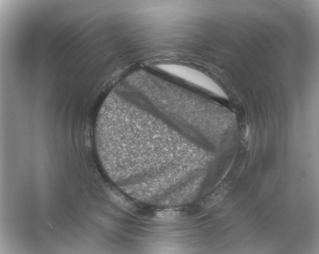 X0000065980470200603311909