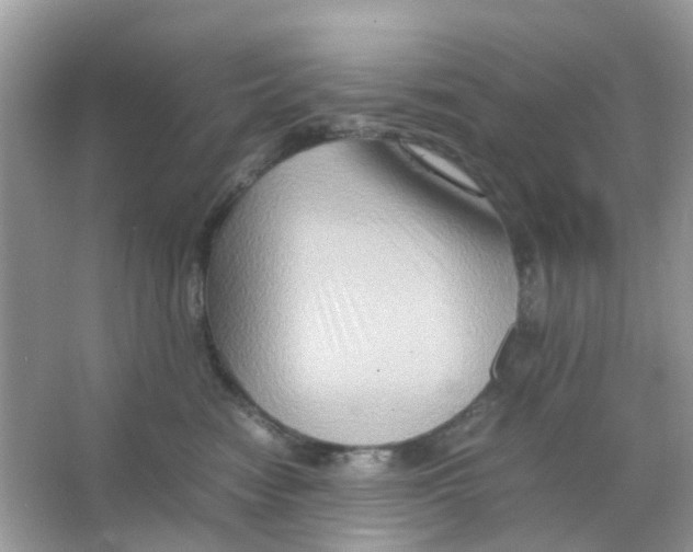 X0000065980474200603311909