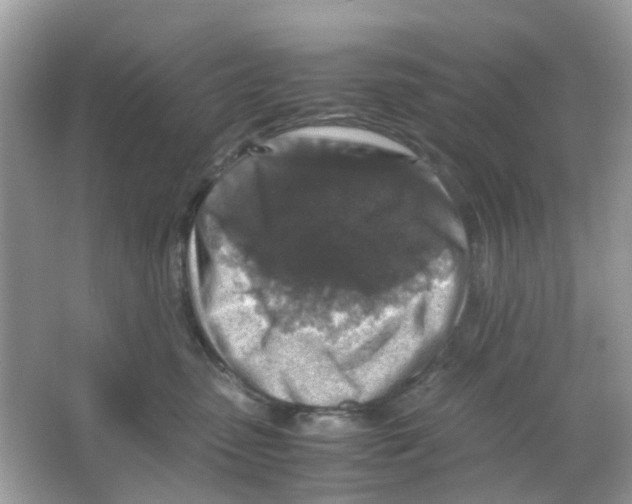 X0000065980475200603311909