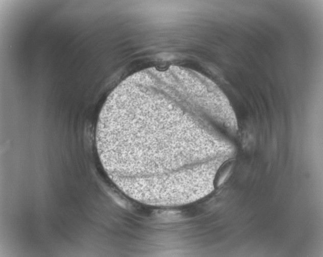 X0000065980476200603311909