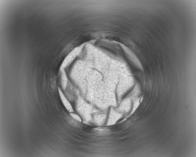 X0000065980477200603311909