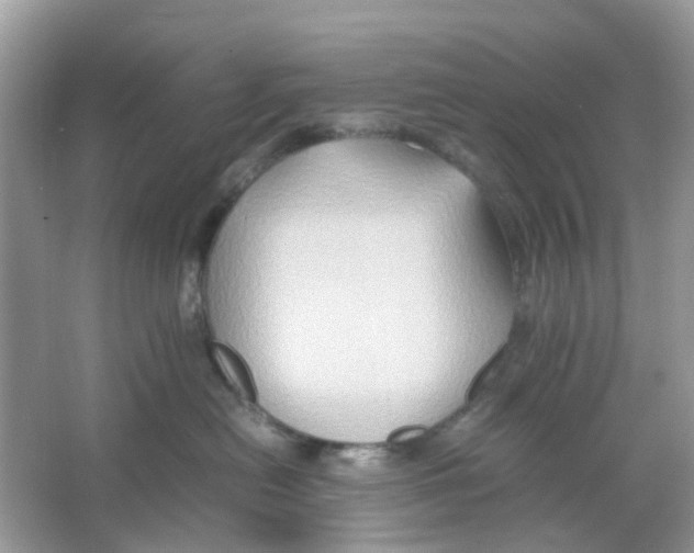 X0000065980478200603311909