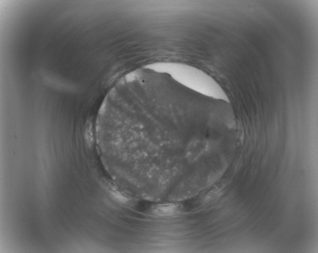 X0000065980479200603311909